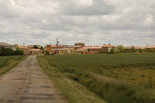 FRESNO DE RODILLA