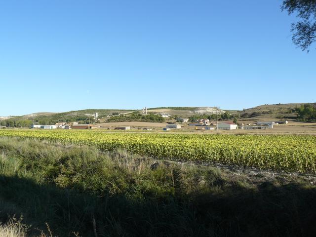 CANILLAS DE ESGUEVA