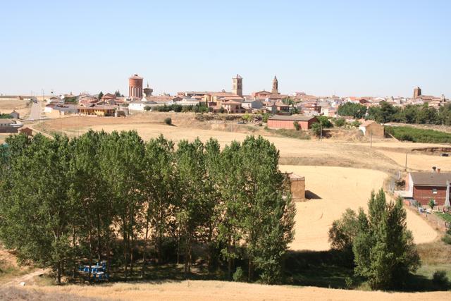 MAYORGA