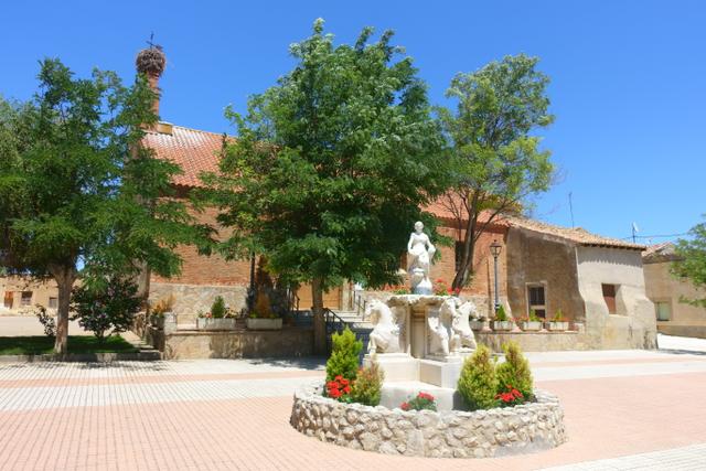COTANES DEL MONTE